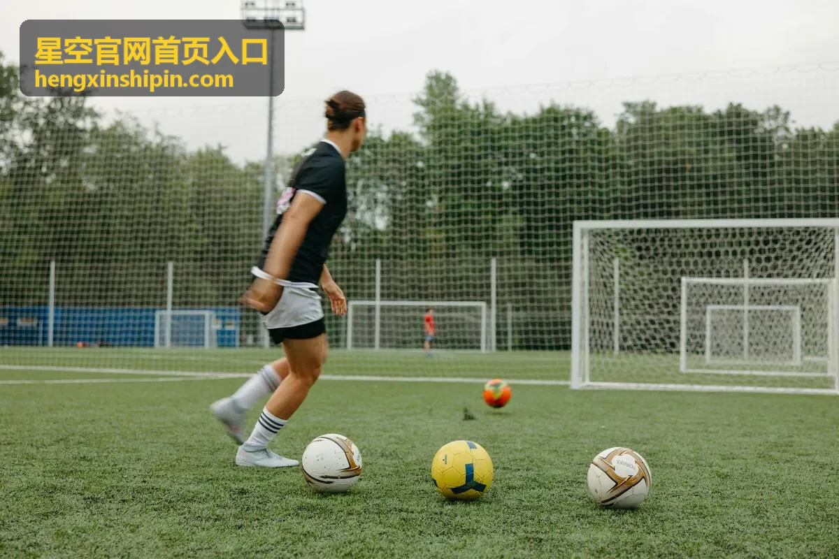 星空官网首页入口电话与邮件对接入口示意