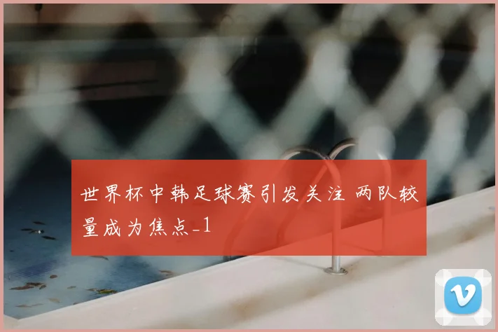 世界杯中韩足球赛引发关注 两队较量成为焦点_1